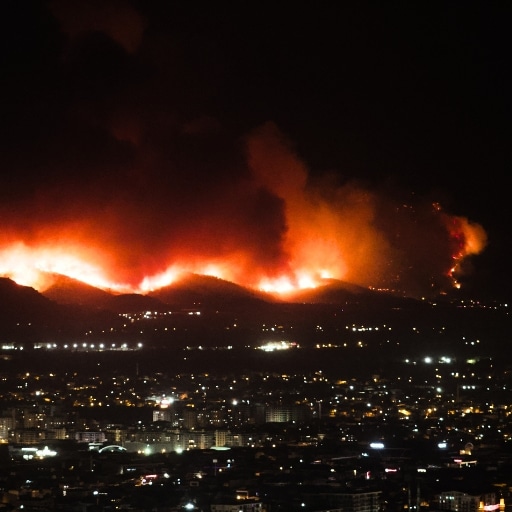 Fleet Disaster Response Plan