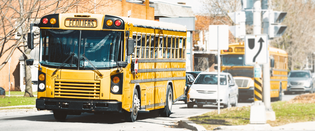 fleet-with-school-bus